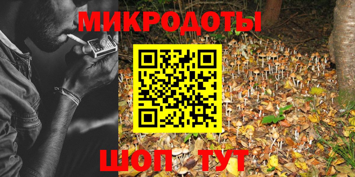 Абакан  Псилоцибиновые грибы Cubensis  Вход с VPN 