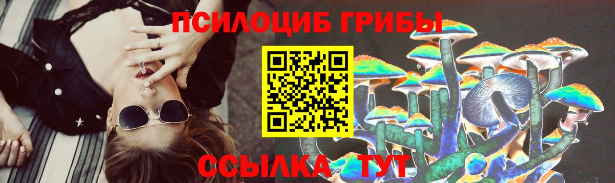 Галлюциногенные грибы мухоморы Абакан