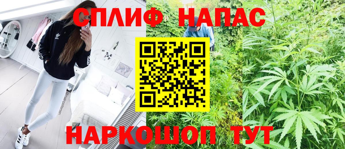 МАРИХУАНА план Абакан